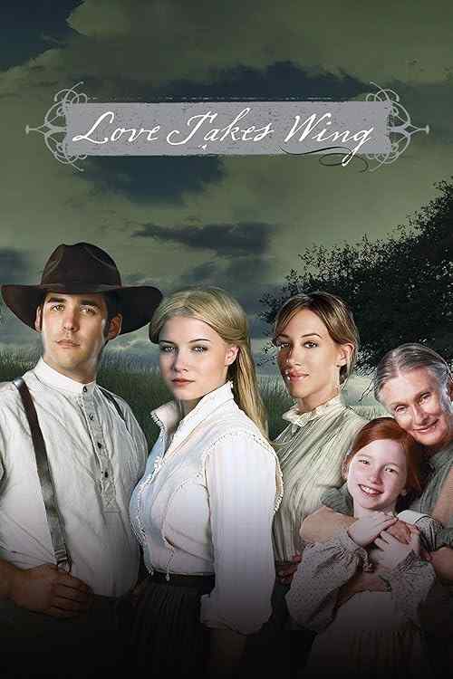 Love Takes Wing poster