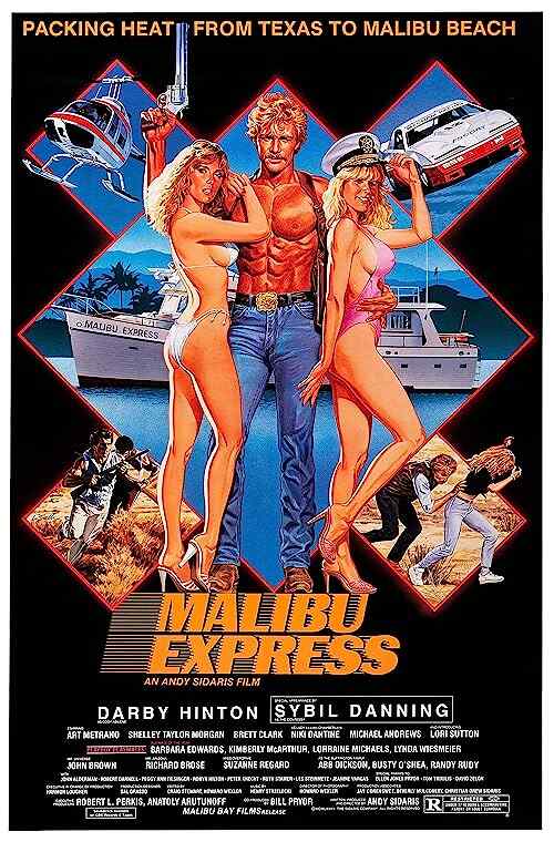 Malibu Express poster