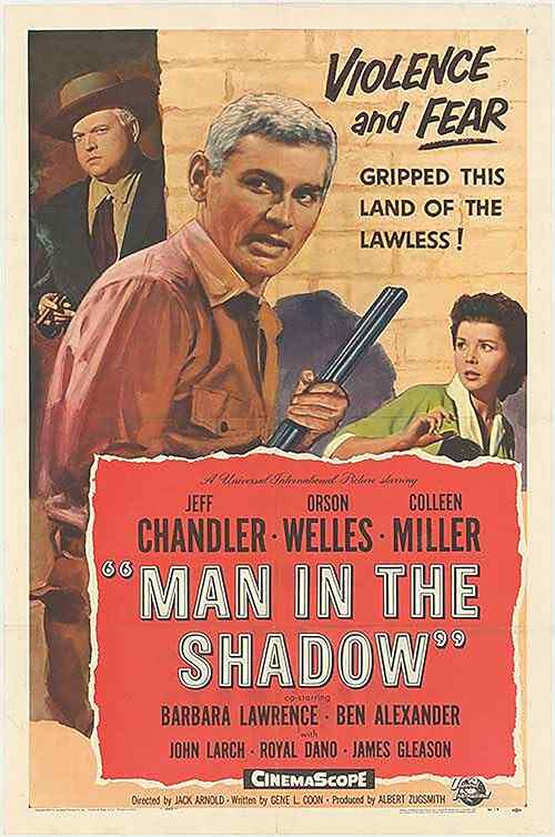 Man in the Shadow poster