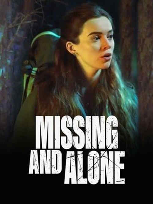 Missing and Alone poster