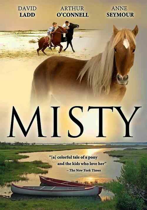 Misty poster