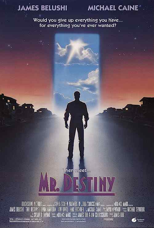 Mr  Destiny poster
