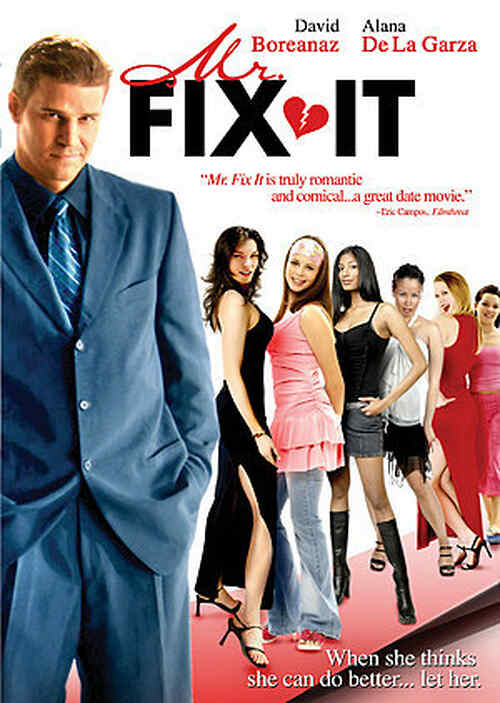 Mr  Fix It poster