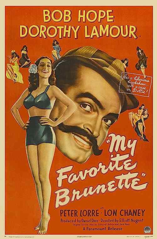 My Favorite Brunette poster