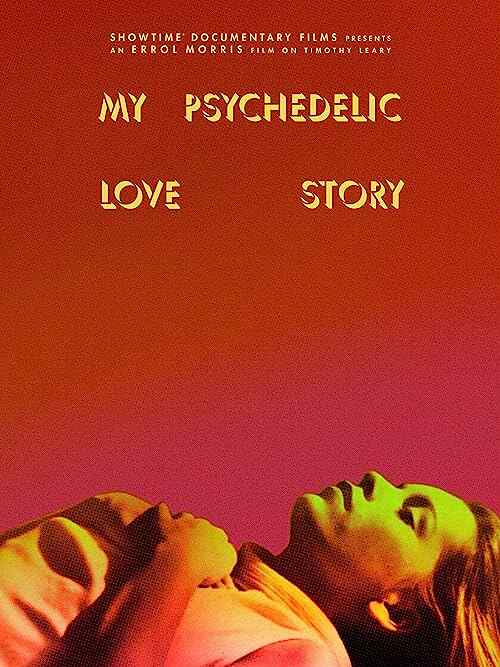 My Psychedelic Love Story poster