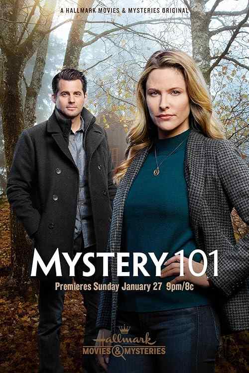 Mystery 101 poster