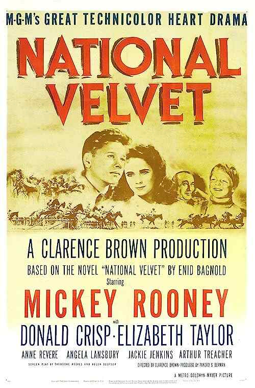 National Velvet poster