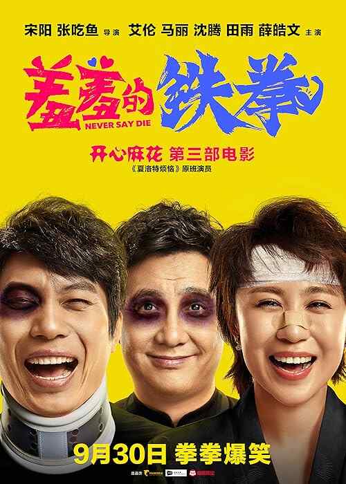 Never Say Die poster