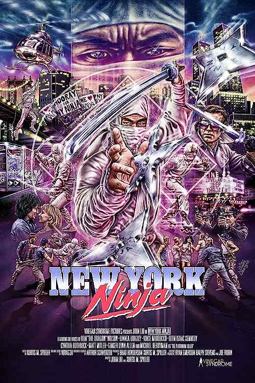 New York Ninja poster