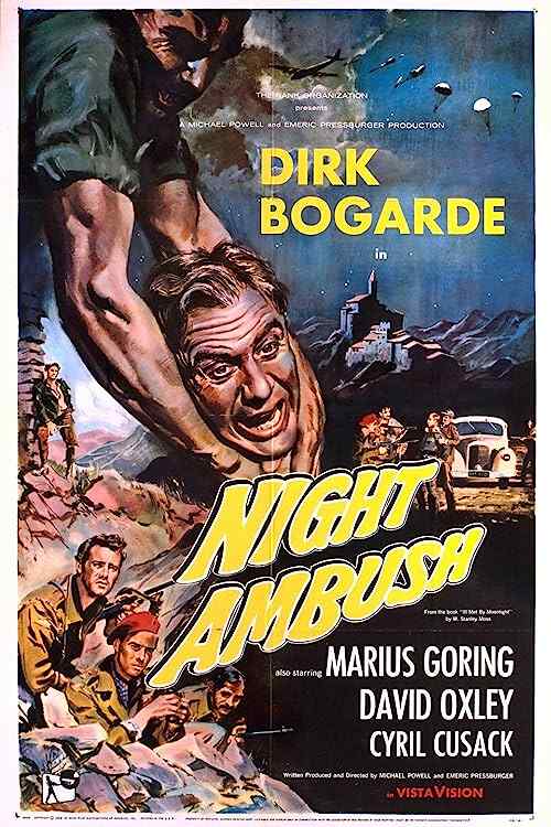 Night Ambush poster