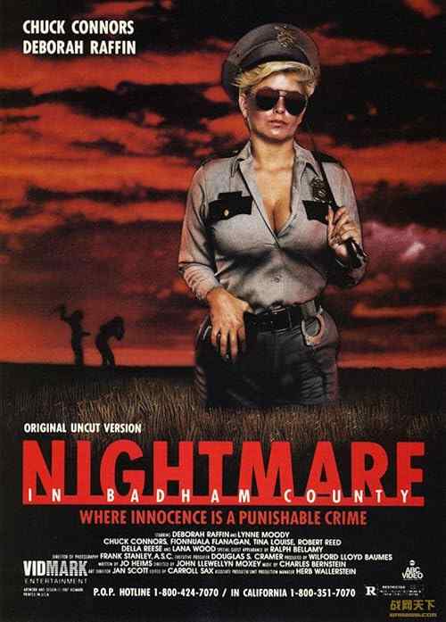 Nightmare in Badham County poster