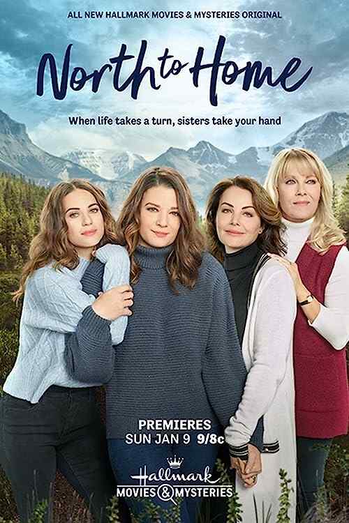 North to Home poster