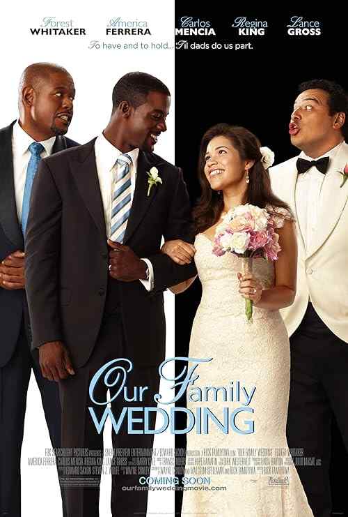 Our Family Wedding poster