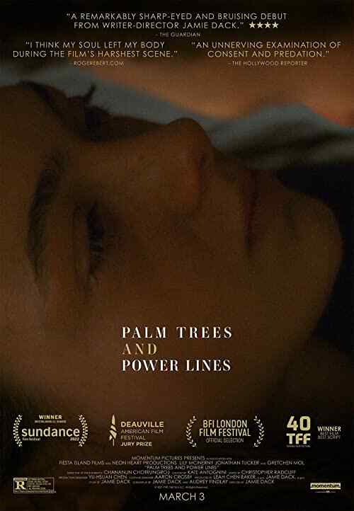 Palm Trees and Power Lines poster