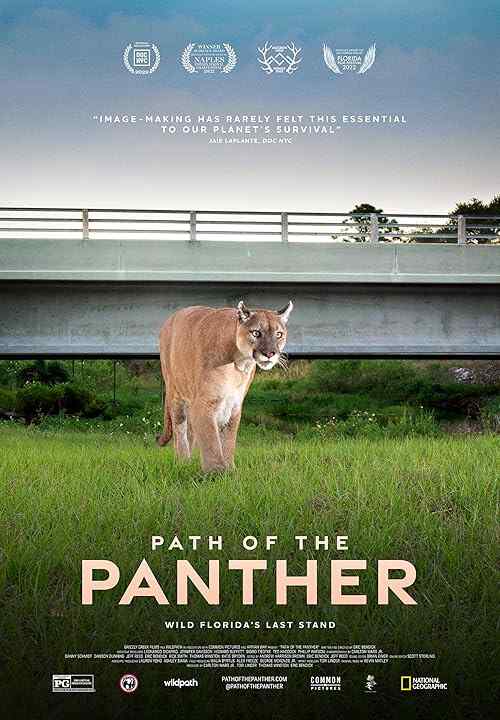 Path of the Panther poster