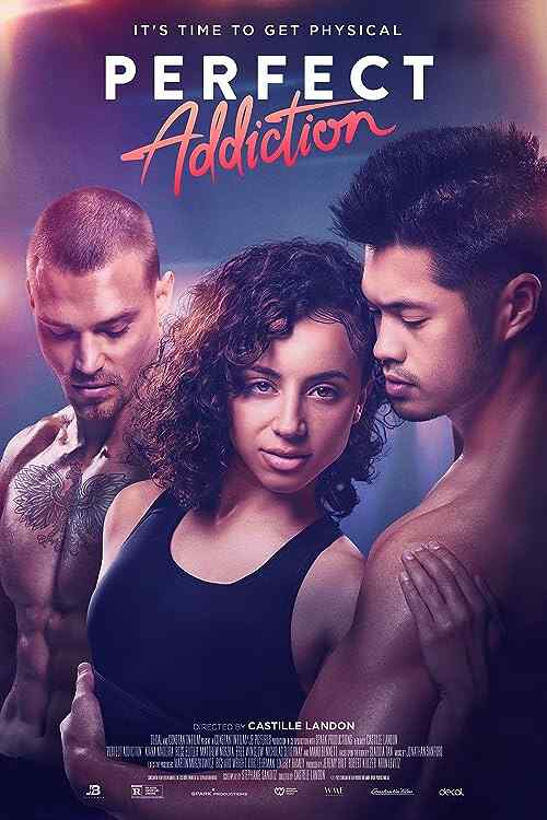Perfect Addiction poster