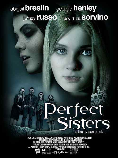 Perfect Sisters poster