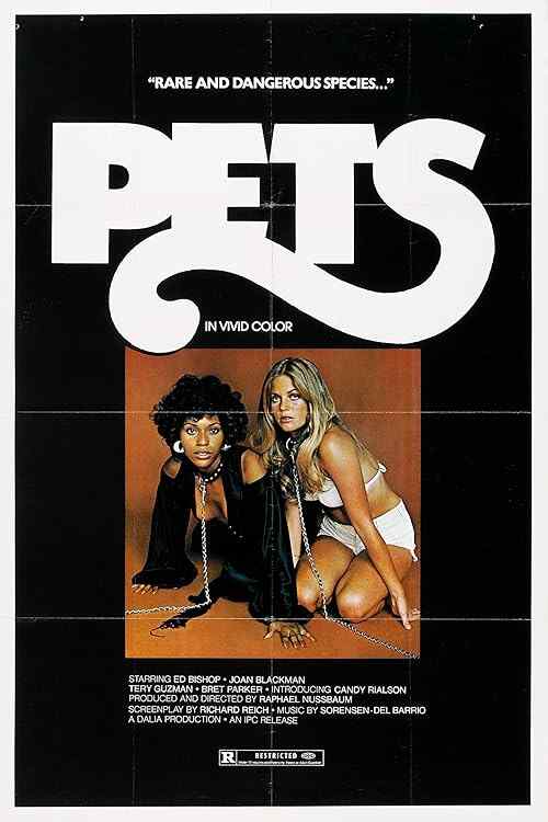 Pets poster