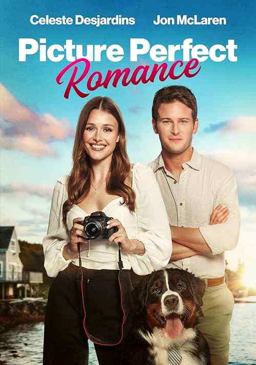Picture Perfect Romance poster