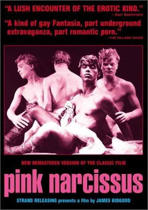 Pink Narcissus poster