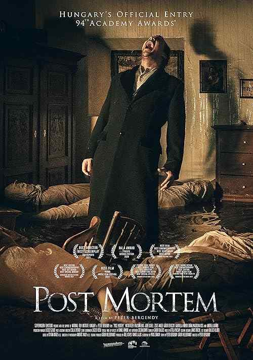 Post Mortem poster