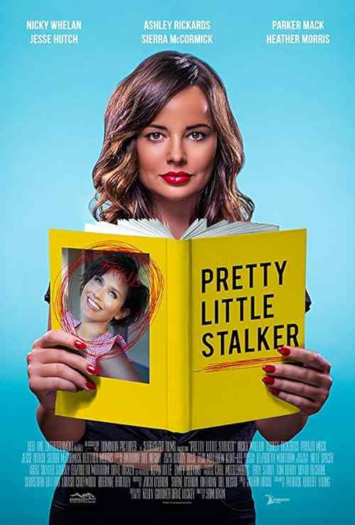 Pretty Little Stalker poster