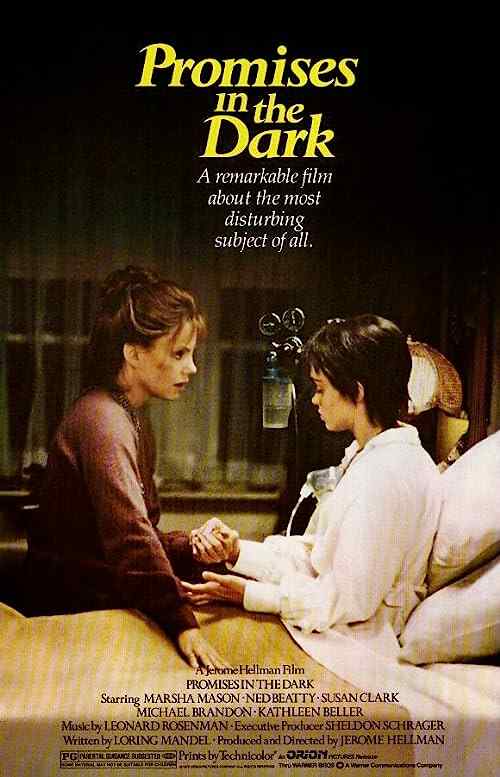 Promises in the Dark poster