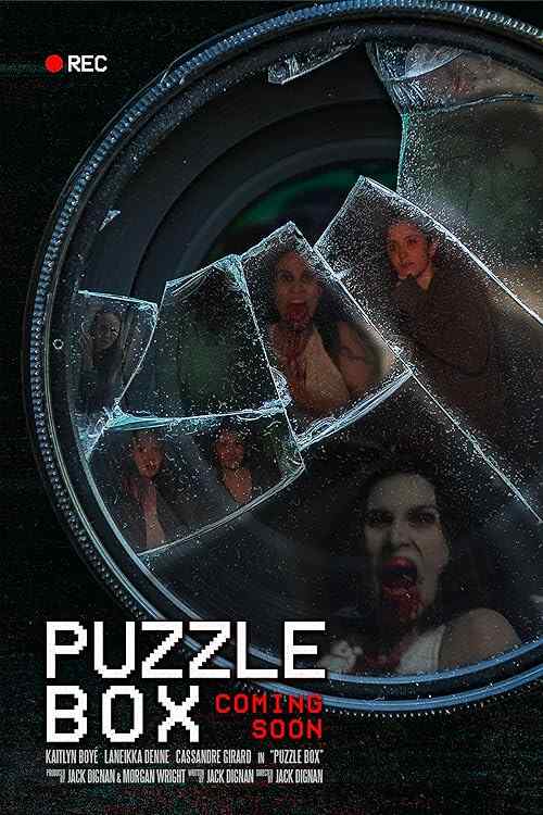 Puzzle Box poster