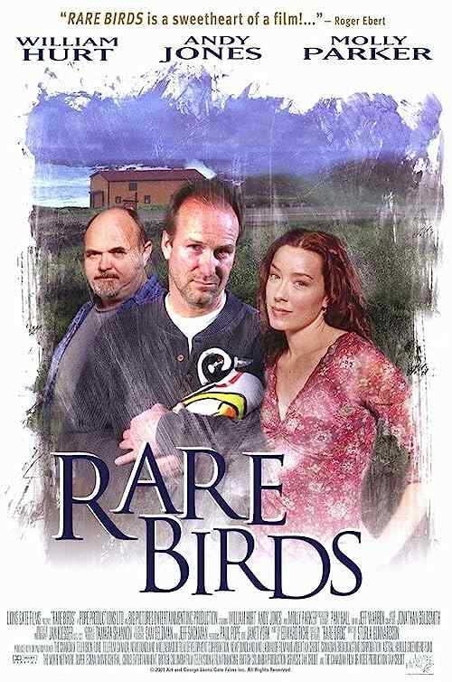 Rare Birds poster
