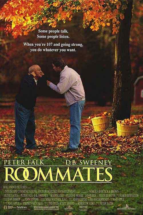 Roommates poster