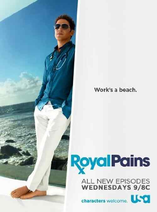 Royal Pains poster