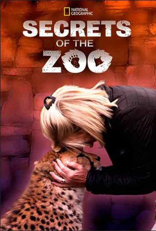 Secrets of the Zoo poster