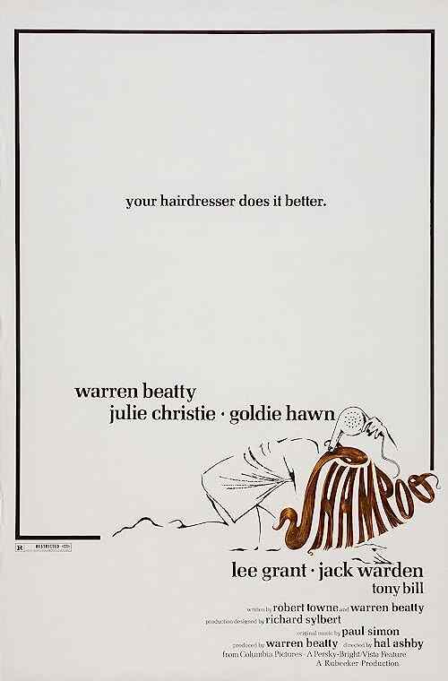 Shampoo poster