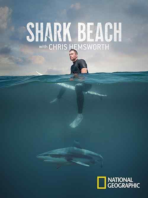 Shark Beach With Chris Hemsworth poster