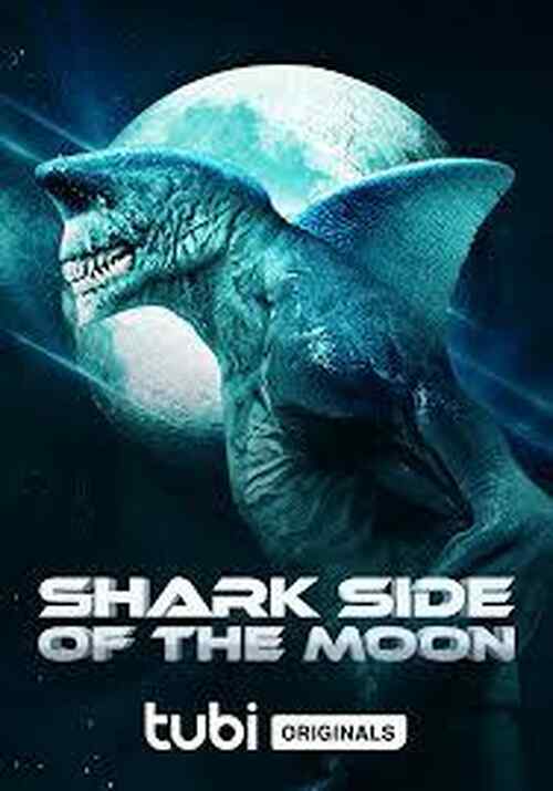 Shark Side of the Moon poster