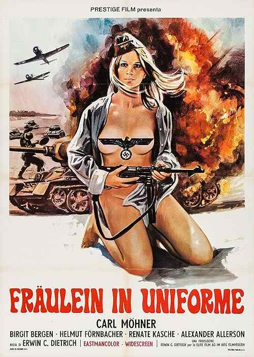 She Devils of the SS poster