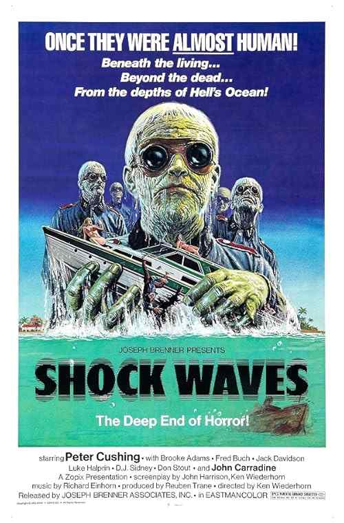 Shock Waves poster