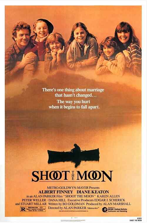 Shoot the Moon poster