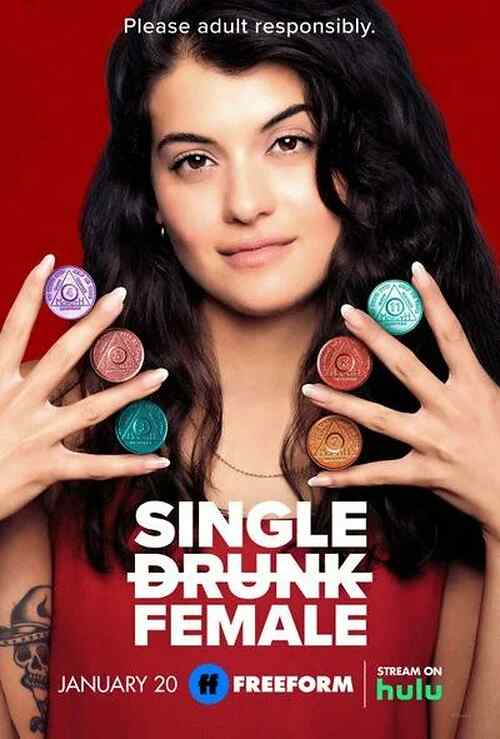 Single Drunk Female poster