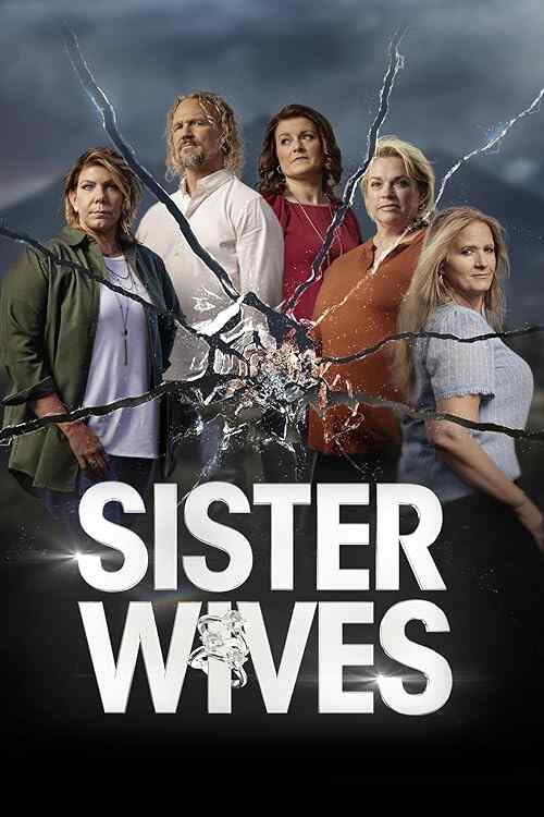 Sister Wives poster