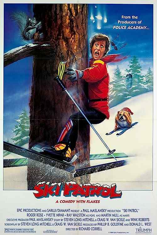 Ski Patrol poster