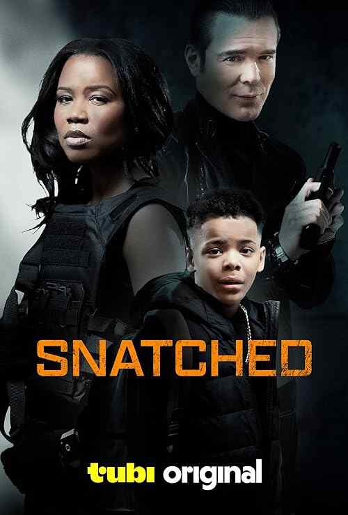Snatched poster