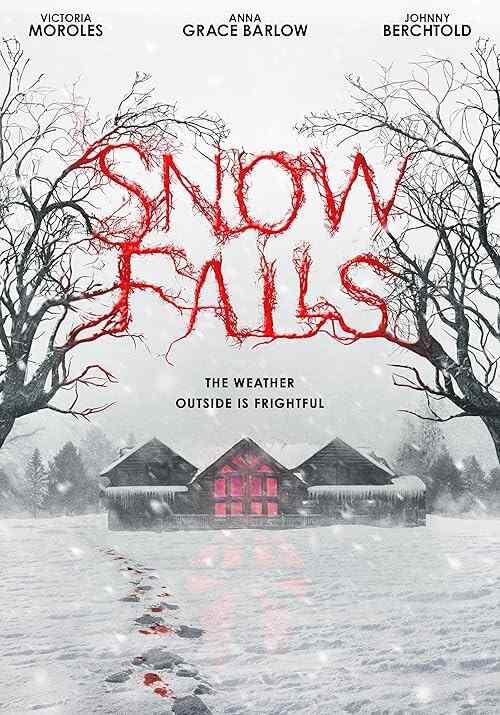Snow Falls poster