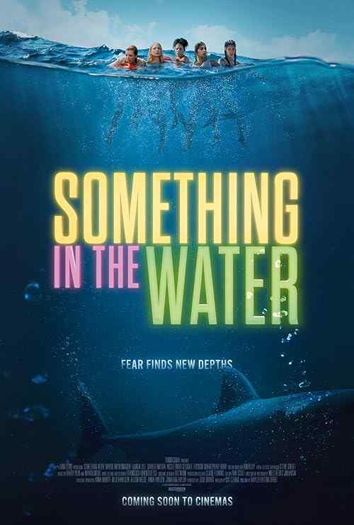 Something in the Water poster