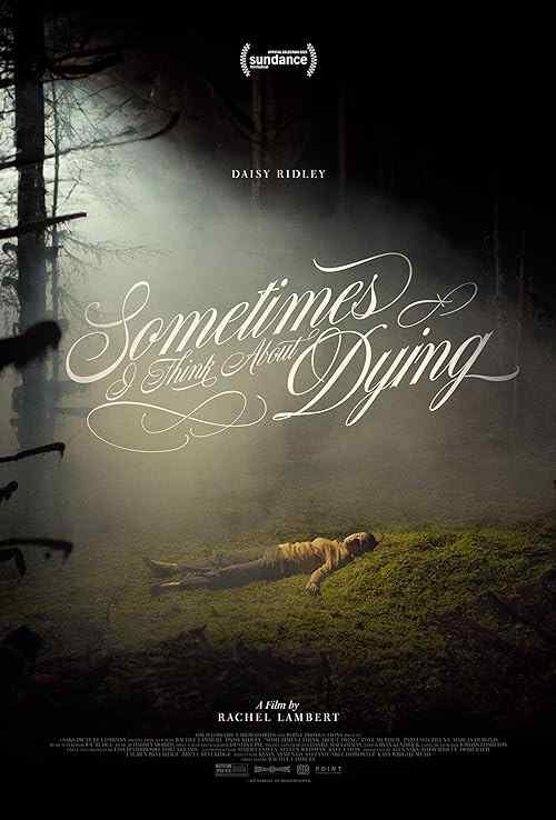 Sometimes I Think About Dying poster