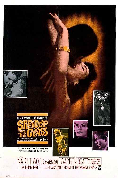 Splendor in the Grass poster