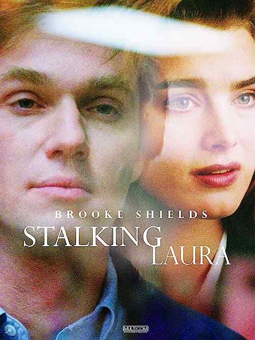 Stalking Laura poster