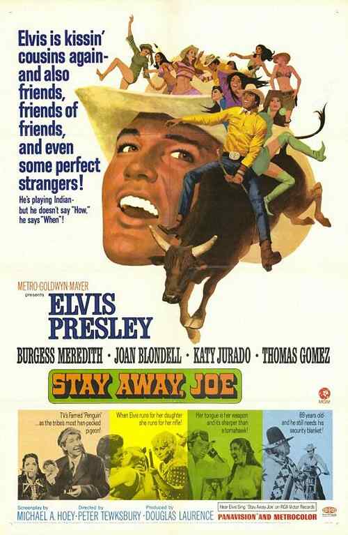 Stay Away, Joe poster