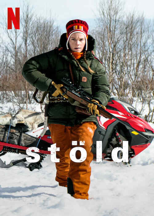 Stolen poster