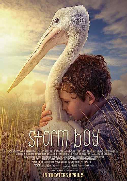 Storm Boy poster